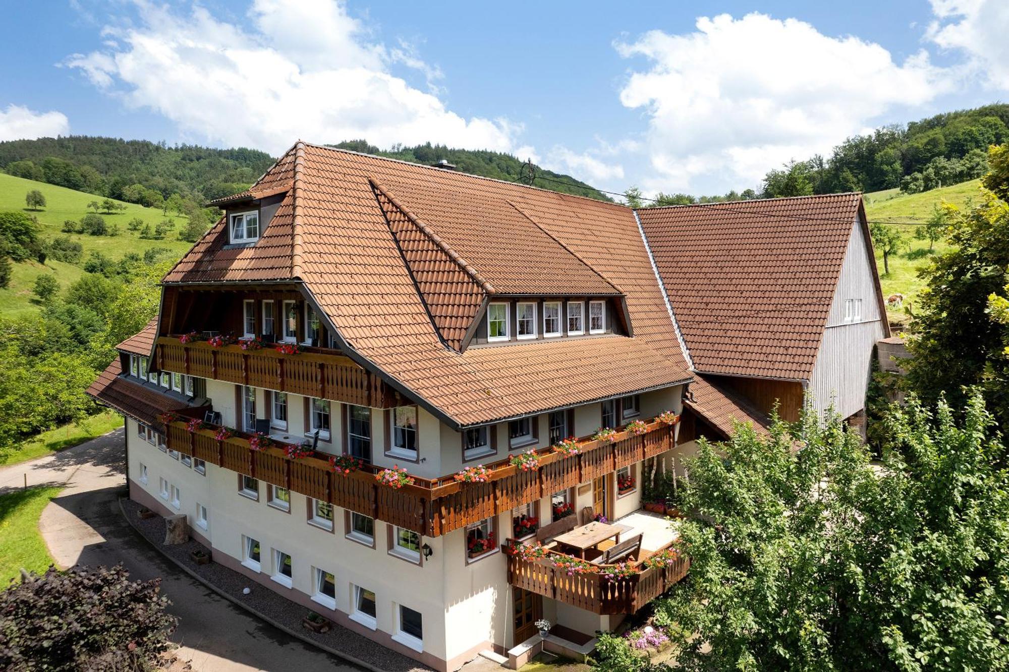 Apartmán Danielenhof Freiamt Exteriér fotografie