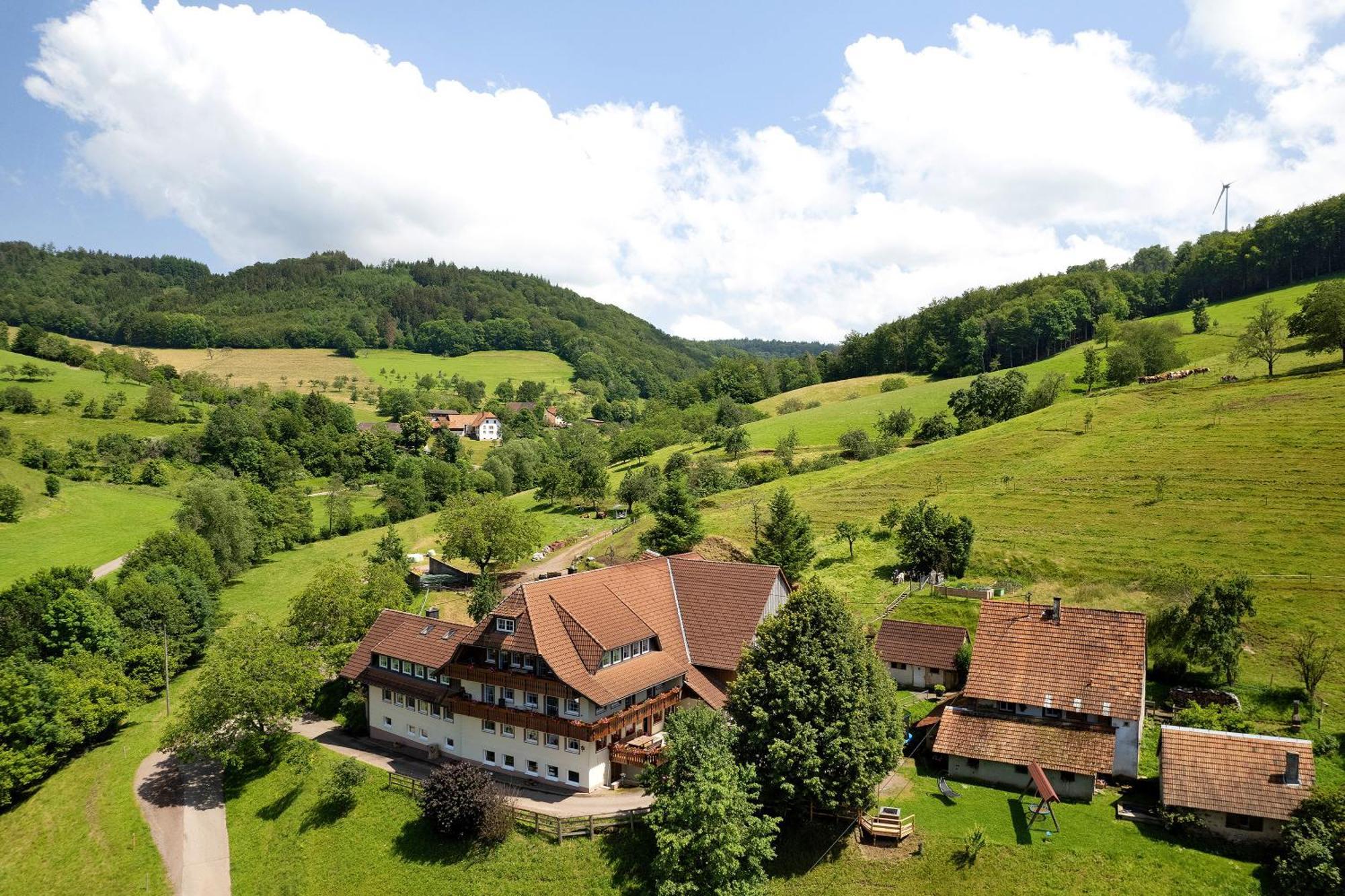 Apartmán Danielenhof Freiamt Exteriér fotografie