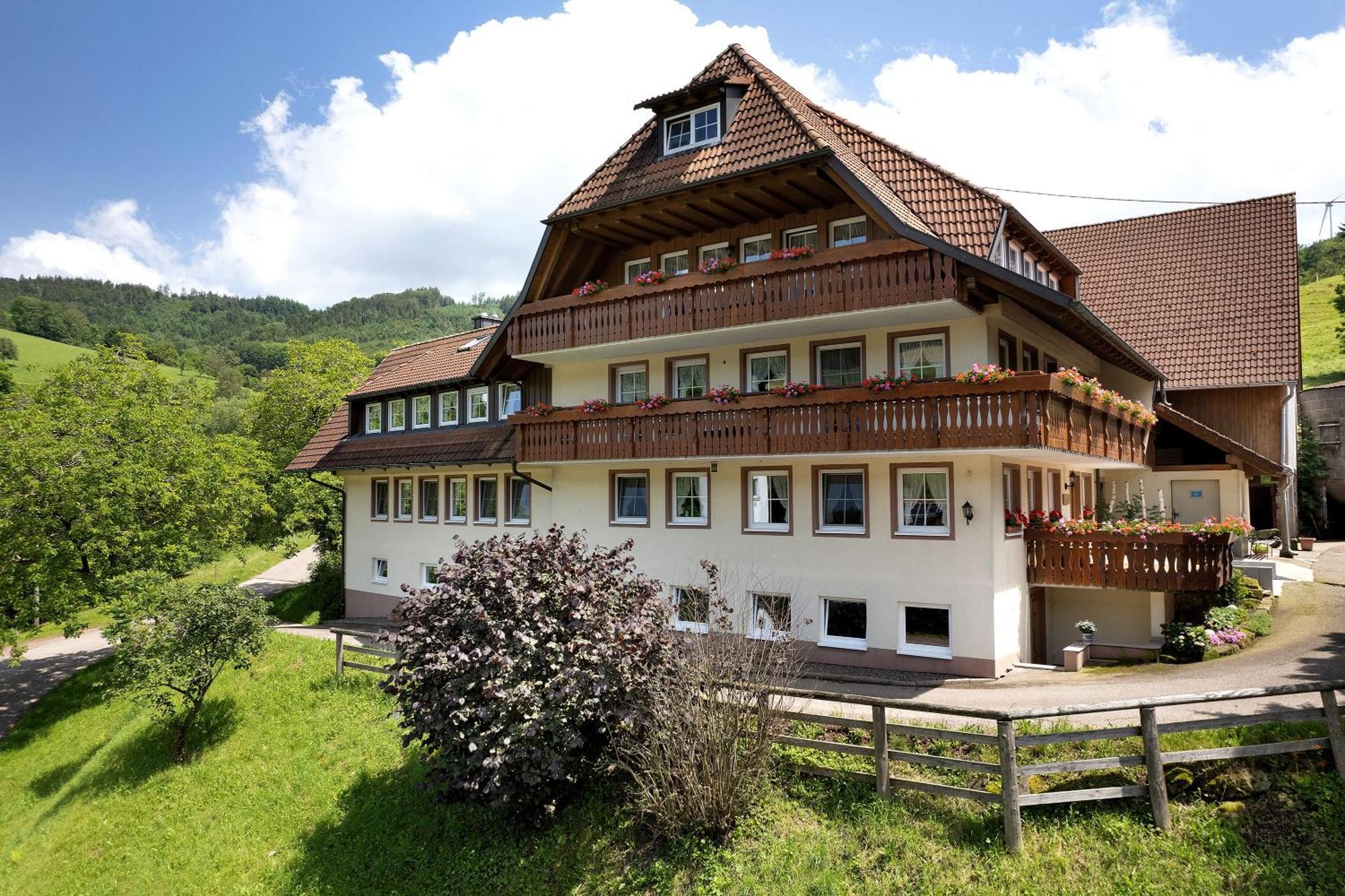 Apartmán Danielenhof Freiamt Exteriér fotografie